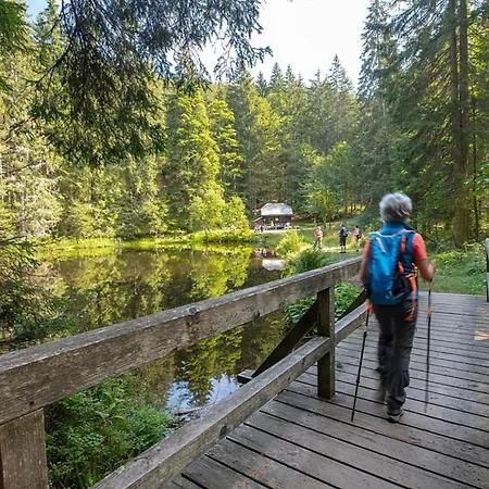 Prázdninový dům Nr 5, Typ A, Jaegerpark, Bayerischer Wald Viechtach