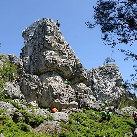 Nr 5, Typ A, Jaegerpark, Bayerischer Wald * Viechtach