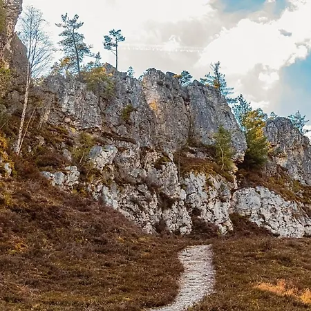 Σπίτι διακοπών Nr 5, Typ A, Jaegerpark, Bayerischer Wald