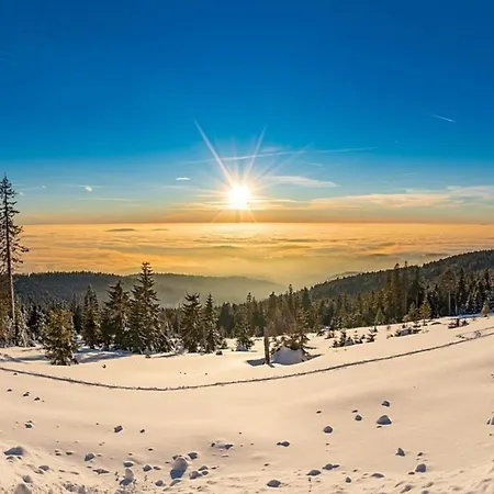 Nr 5, Typ A, Jaegerpark, Bayerischer Wald Casa vacanze *