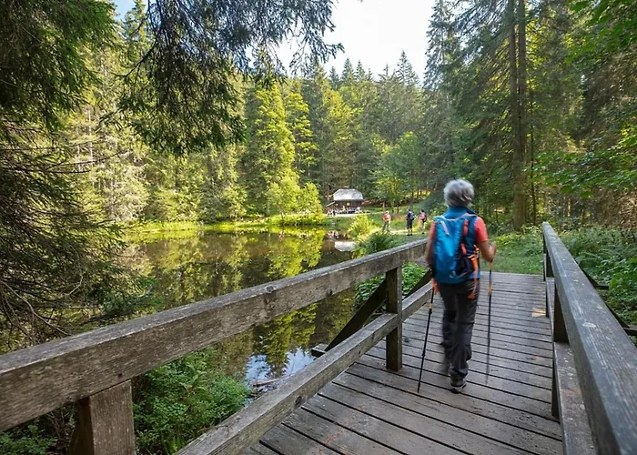 Feriehus Nr 5, Typ A, Jaegerpark, Bayerischer Wald Viechtach