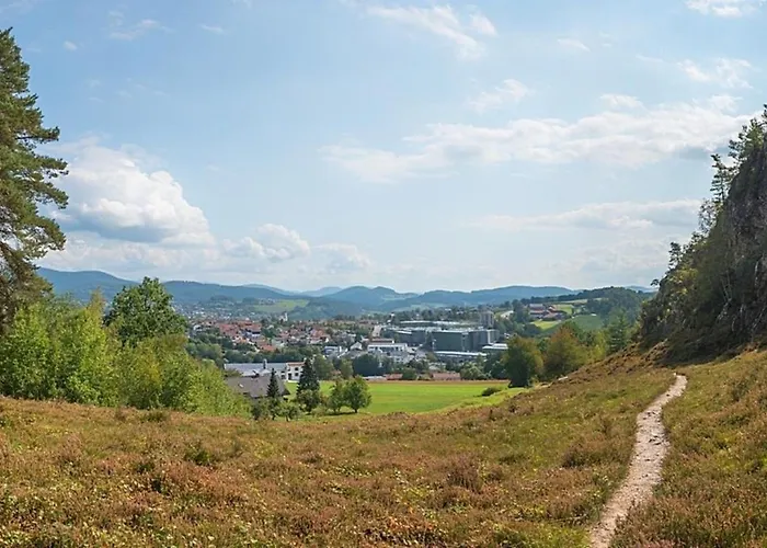 Nr 5, Typ A, Jaegerpark, Bayerischer Wald Viechtach