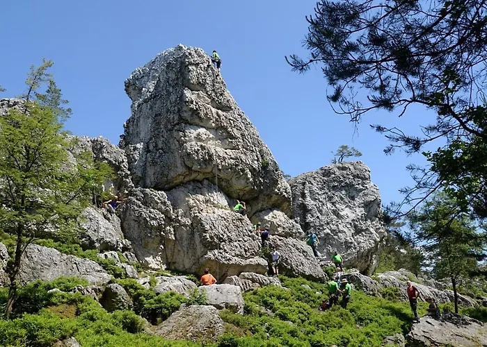 Nr 5, Typ A, Jaegerpark, Bayerischer Wald * Viechtach