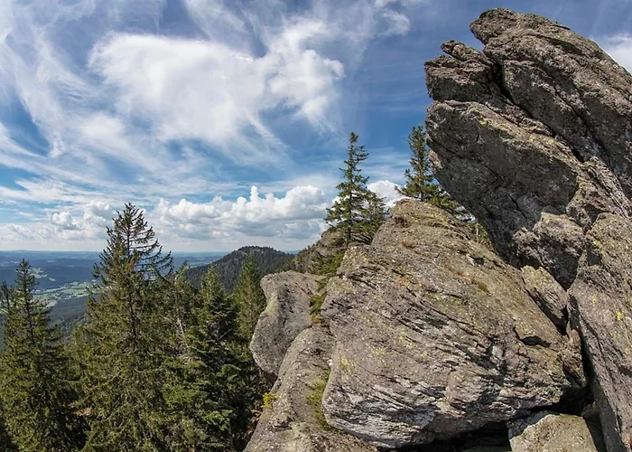 Nr 5, Typ A, Jaegerpark, Bayerischer Wald Feriehus *