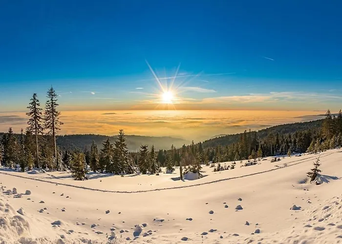 Nr 5, Typ A, Jaegerpark, Bayerischer Wald Feriehus *